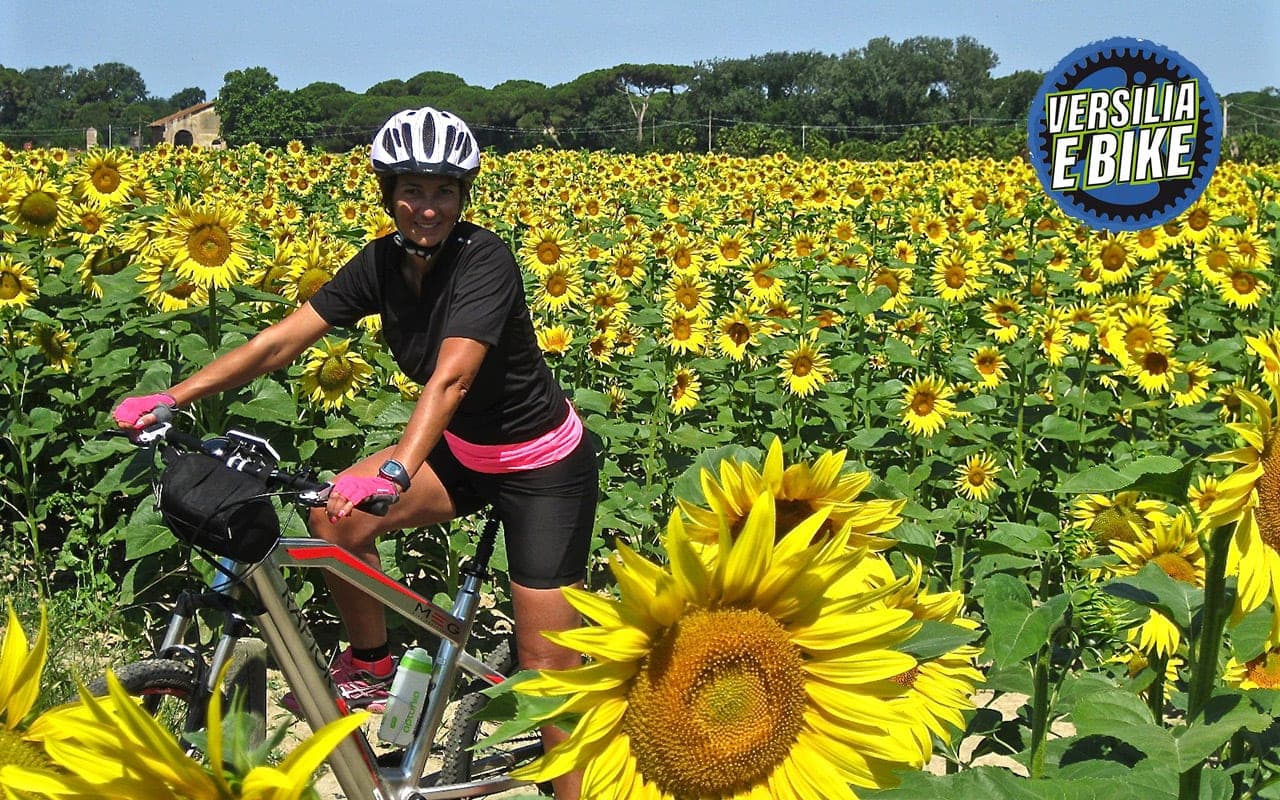 Versilia eBike - Noleggio, Vendita, tour e riparazioni.