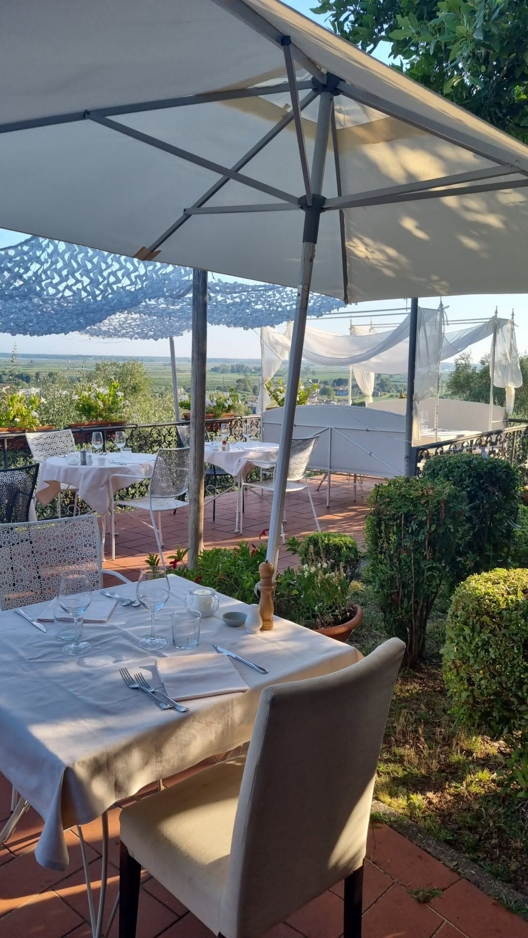 Osteria l'Oliveta