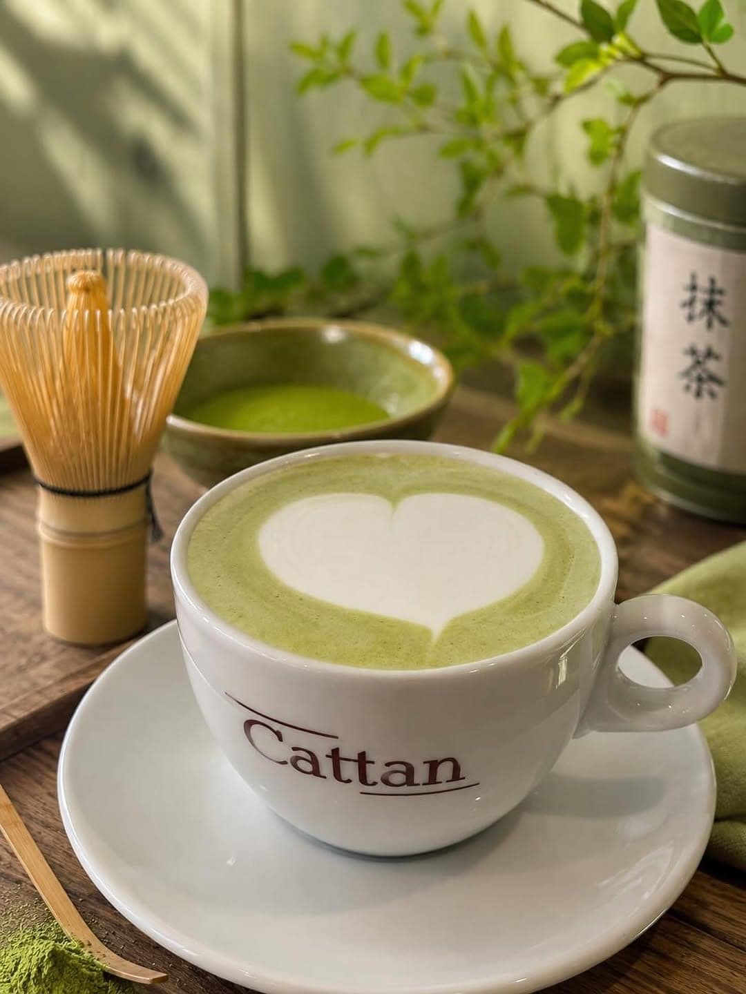 Cattan