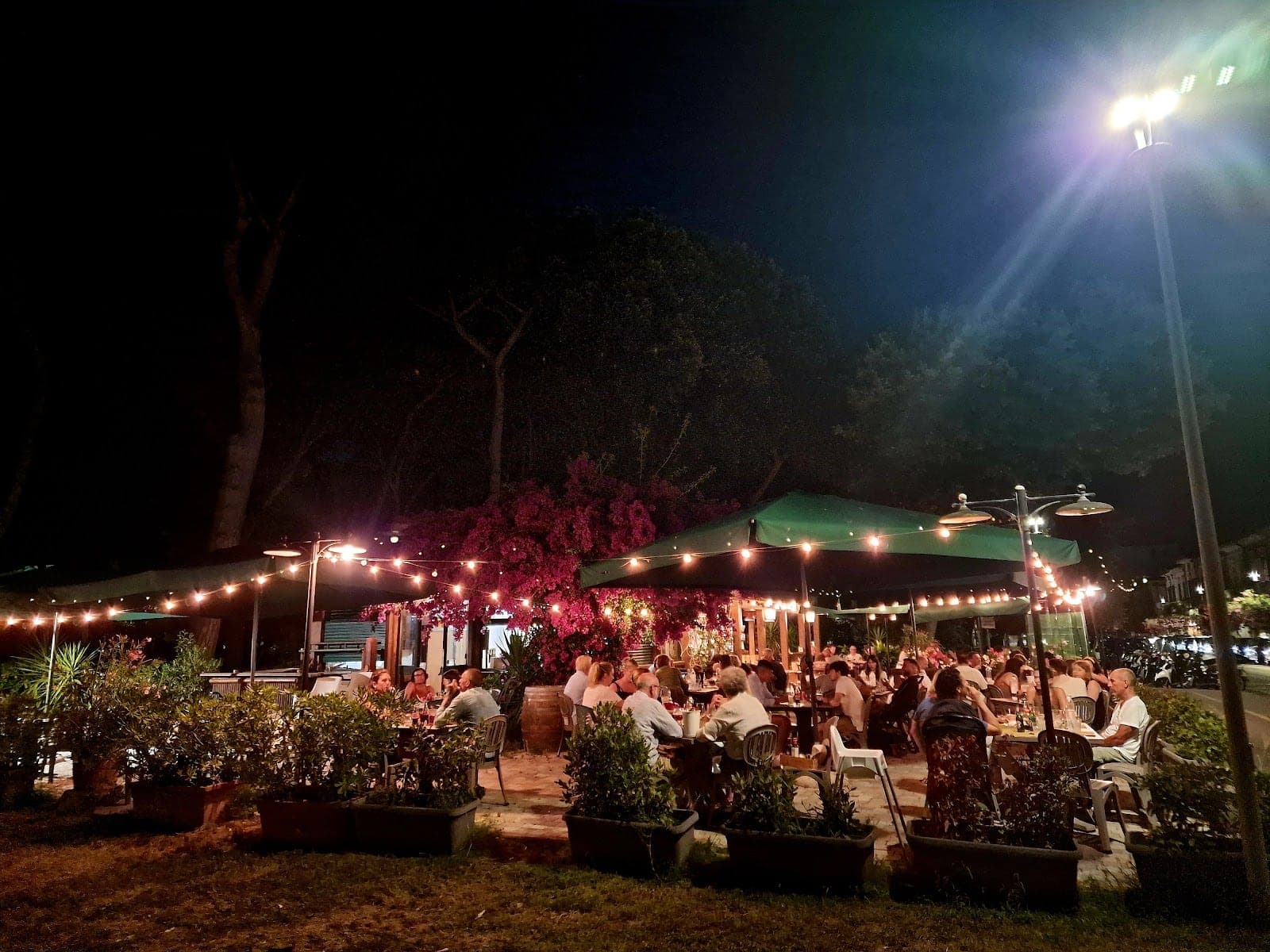 La boutique del cocomero