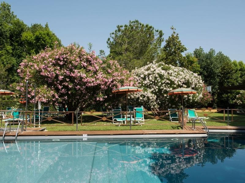 Hermitage Hotel & Resort
