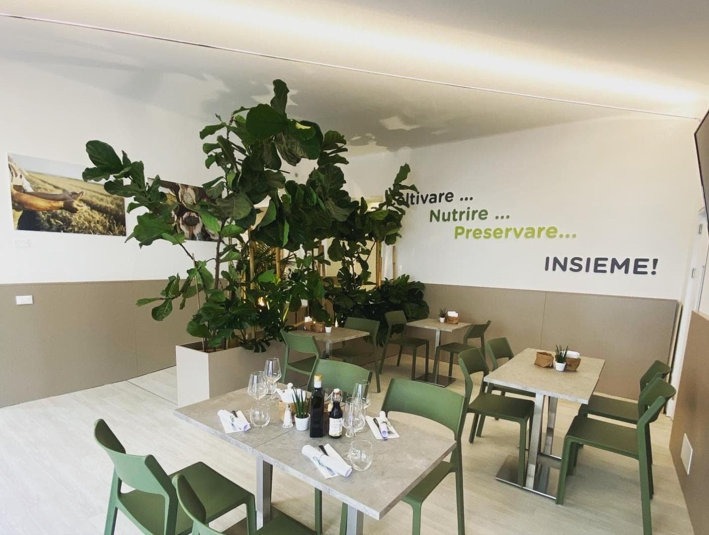 Bio Lino Caffè
